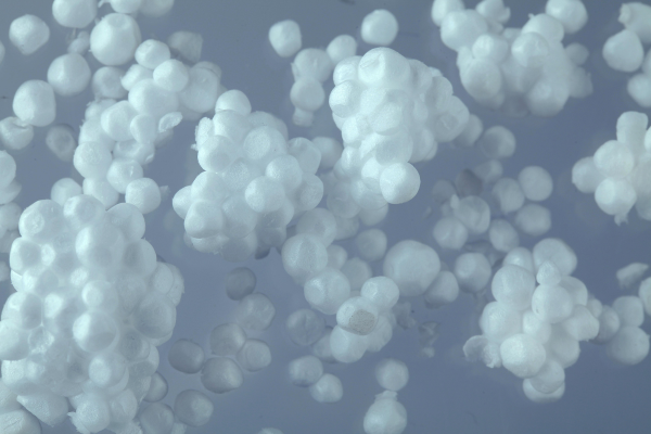 The Future of Foam: Trends Shaping the Industry in Australia